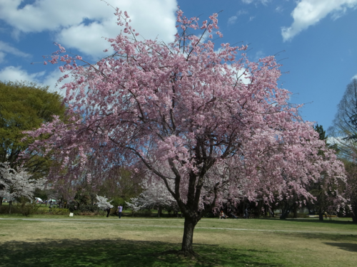 e0271890_20413314.png