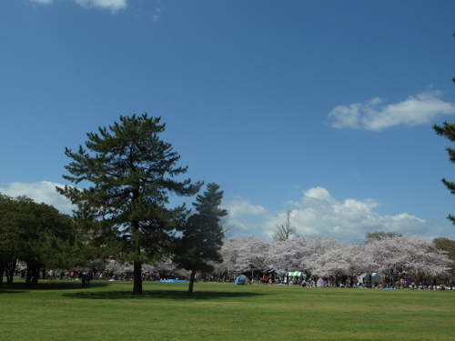 e0271890_20531196.png