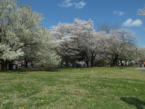 e0271890_20534381.png