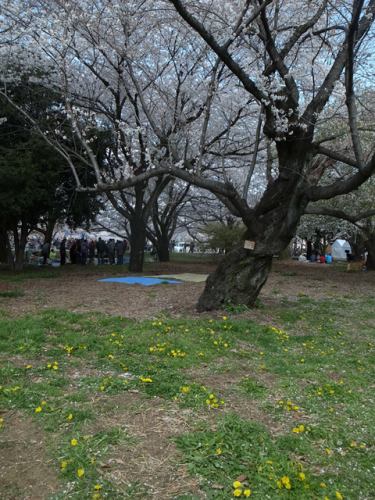 e0271890_20544419.png
