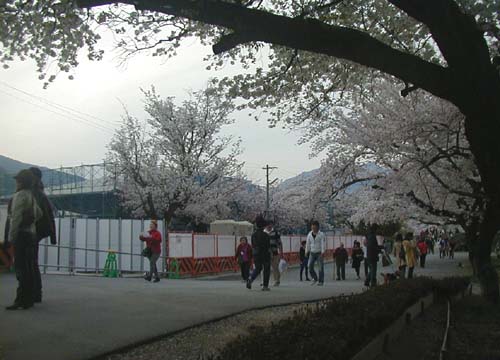 d0053294_0284210.jpg