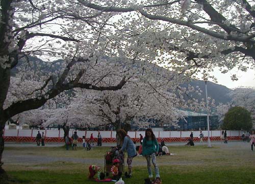 d0053294_0291317.jpg