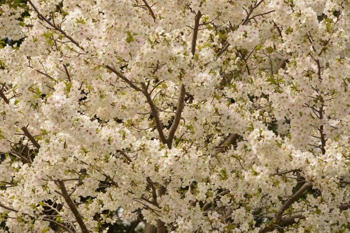 f0268294_17540527.jpg