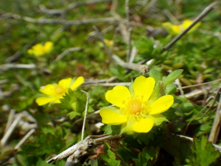 a0125598_23201370.jpg
