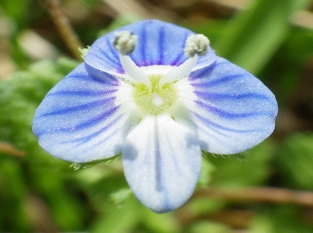 a0125598_23313406.jpg