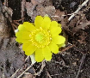 e0122199_1548592.jpg