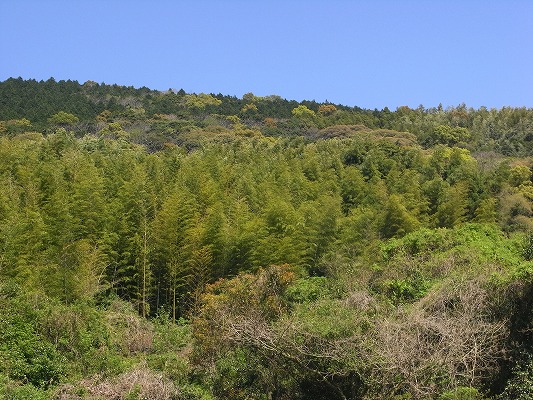 f0187402_2110041.jpg