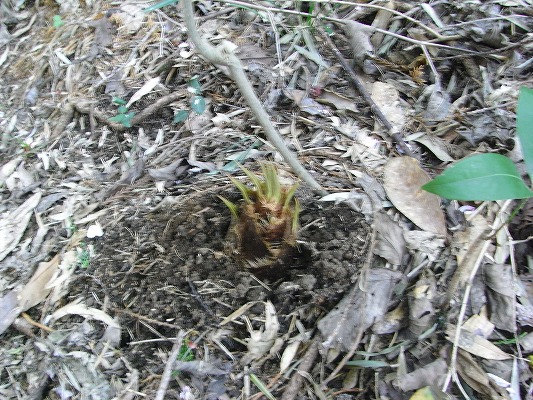 f0187402_21104054.jpg
