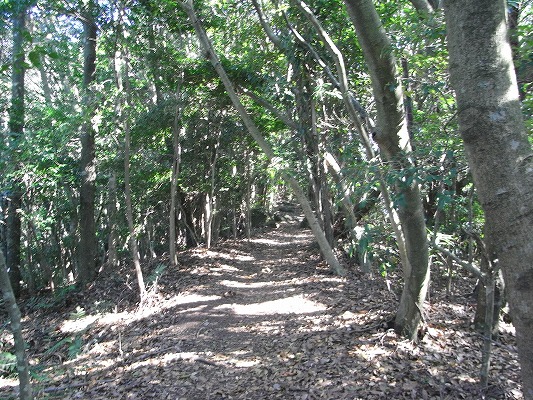 f0187402_21104842.jpg