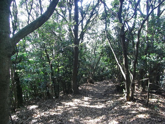 f0187402_21105762.jpg
