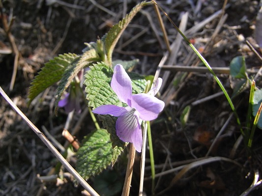 f0187402_21112269.jpg