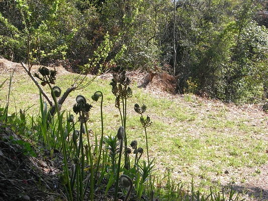 f0187402_2111317.jpg