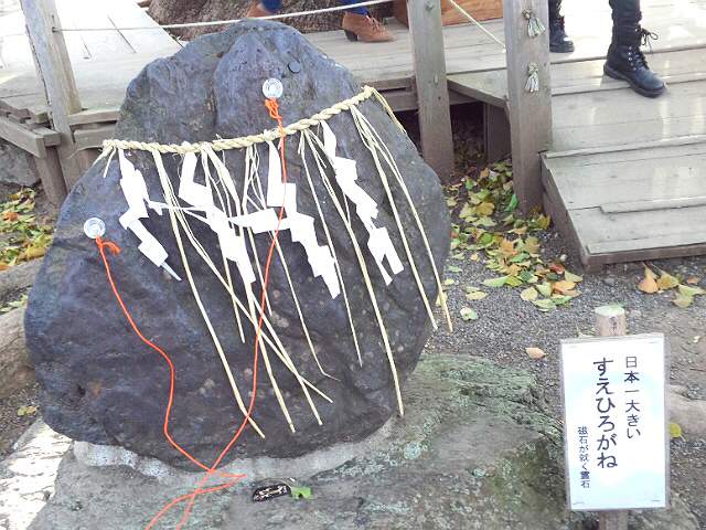 e0113504_351487.jpg