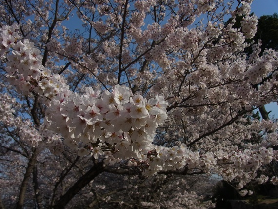 c0205806_743224.jpg