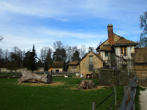a0185007_21261569.jpg