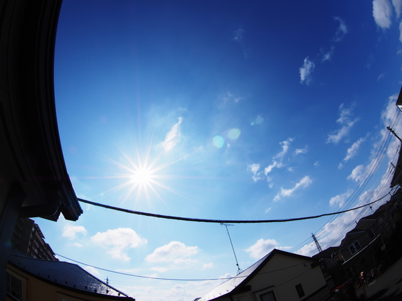 f0302208_10154637.jpg