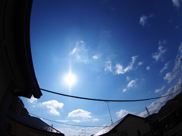 f0302208_1015710.jpg