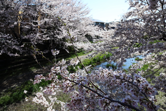 f0302208_14533044.jpg
