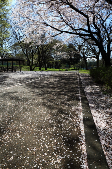 f0302208_15125964.jpg