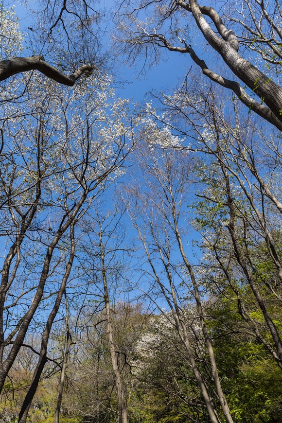 f0302208_15173479.jpg