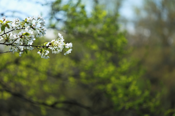 f0302208_1518510.jpg