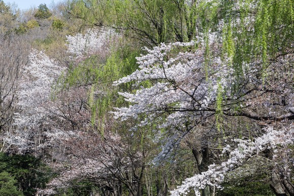 f0302208_1520206.jpg