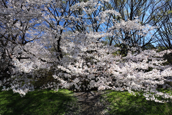 f0302208_159463.jpg