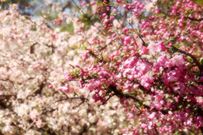 a0263109_2084230.jpg