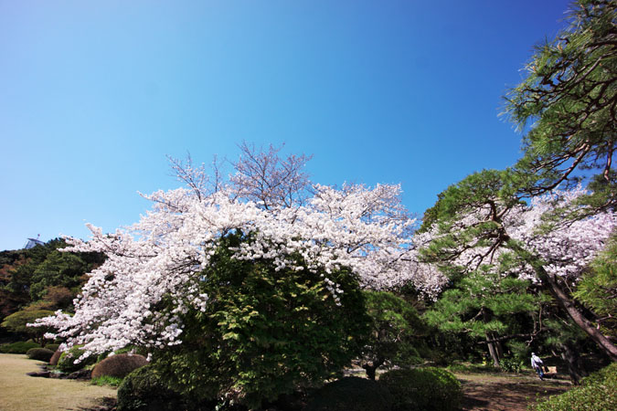 a0263109_2091489.jpg
