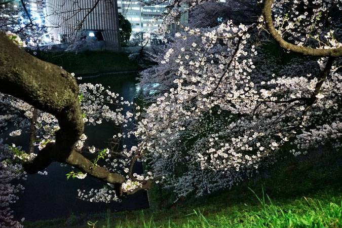 a0263109_21183867.jpg