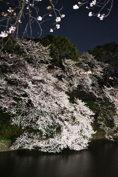 a0263109_21204356.jpg