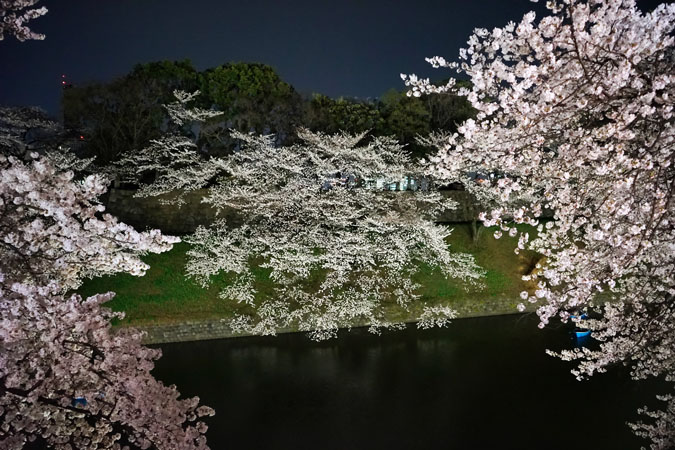 a0263109_21262665.jpg