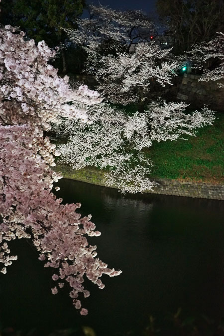 a0263109_21263393.jpg