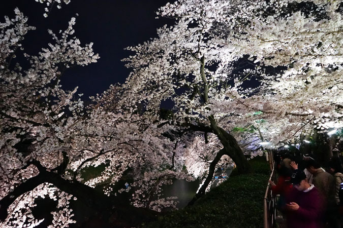 a0263109_21264594.jpg