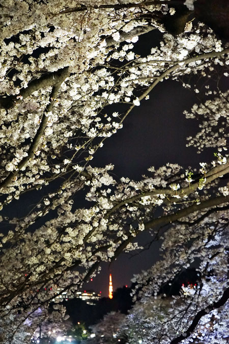 a0263109_21273955.jpg