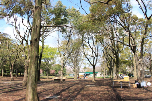 a0284809_2245388.jpg