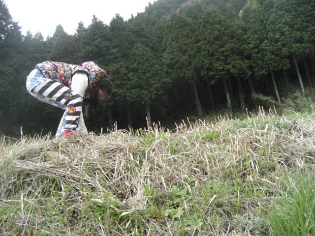 f0139520_10324381.jpg