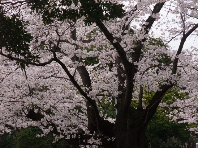 f0182920_824835.jpg