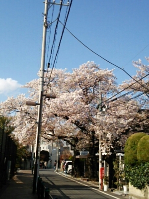 f0106823_9273219.jpg