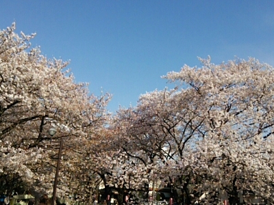 f0106823_927888.jpg