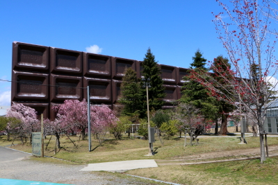 e0133025_19123816.jpg