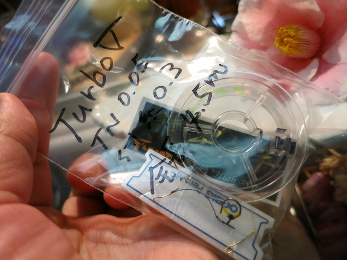 d0172227_15553637.jpg