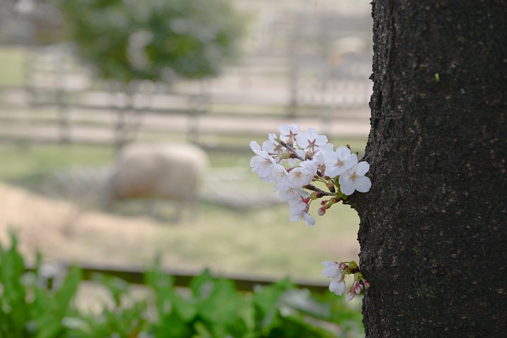 b0134829_16343474.jpg
