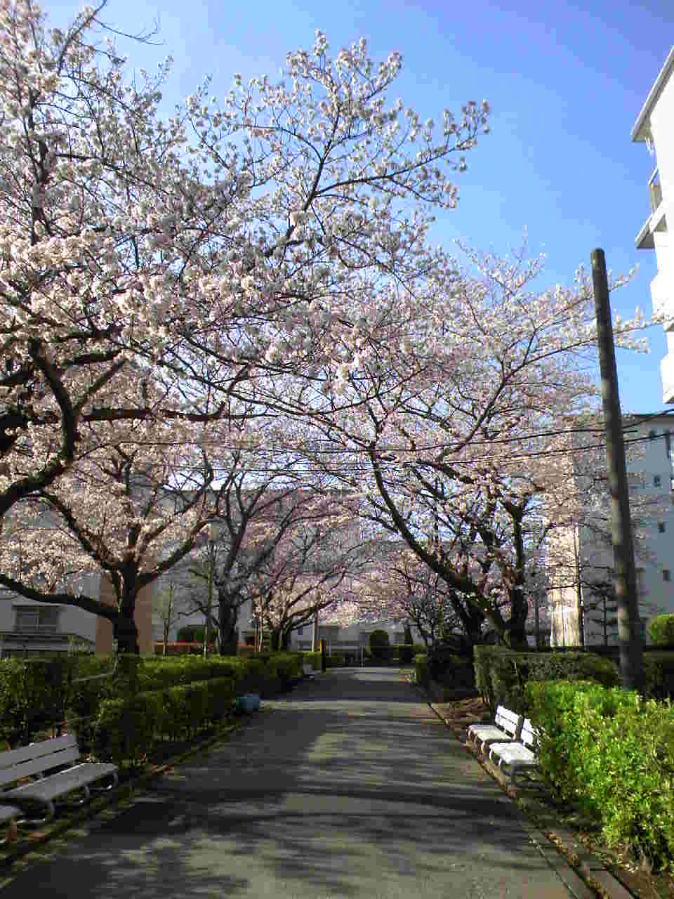 f0034334_17103.jpg