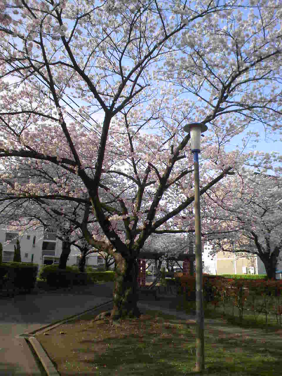 f0034334_173017.jpg
