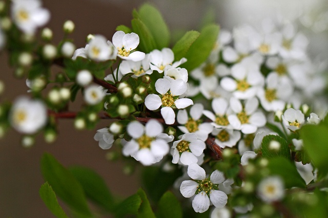 a0242438_18275076.jpg