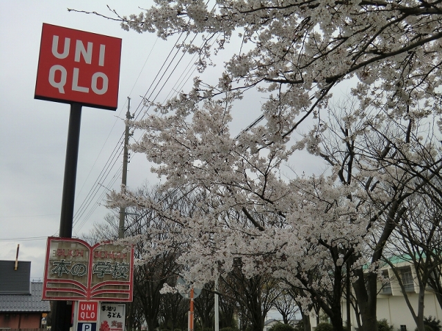 b0029438_013981.jpg