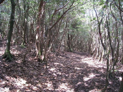 c0077338_20525377.jpg