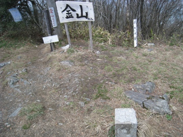 c0077338_2054479.jpg