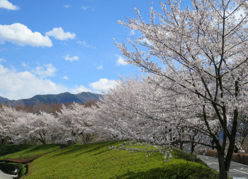 b0178339_16205924.jpg